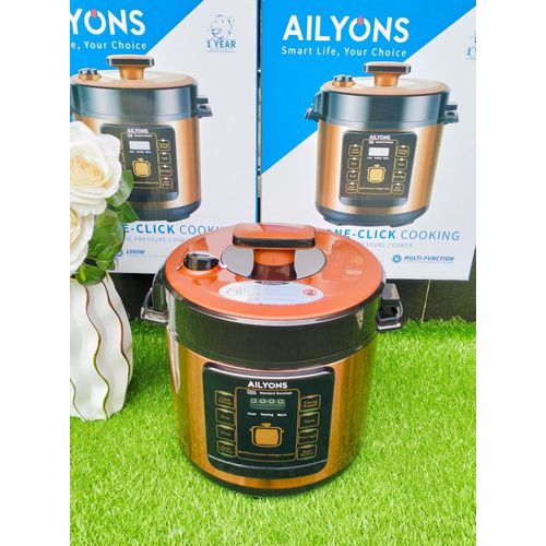 Electric pressure cooker #003