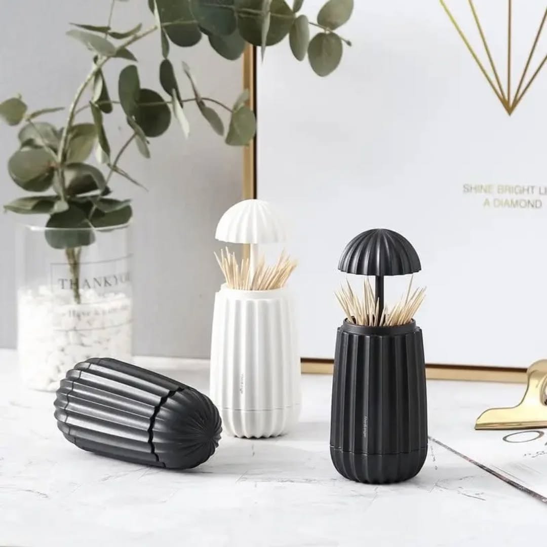 Toothpick holder