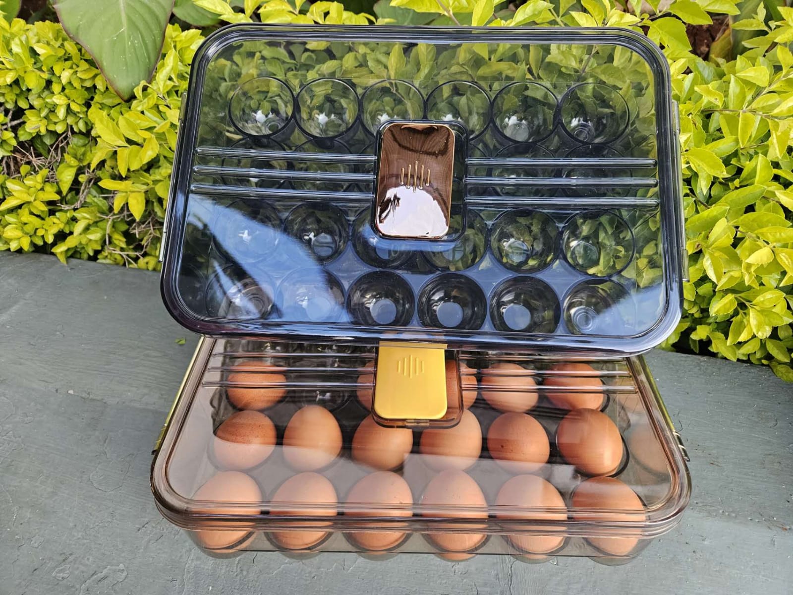 Acrylic egg tray