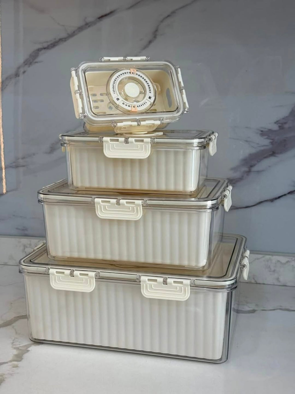 4 pcs Food grade eco-friendly moisture proof fridge/freezer  fresh storage