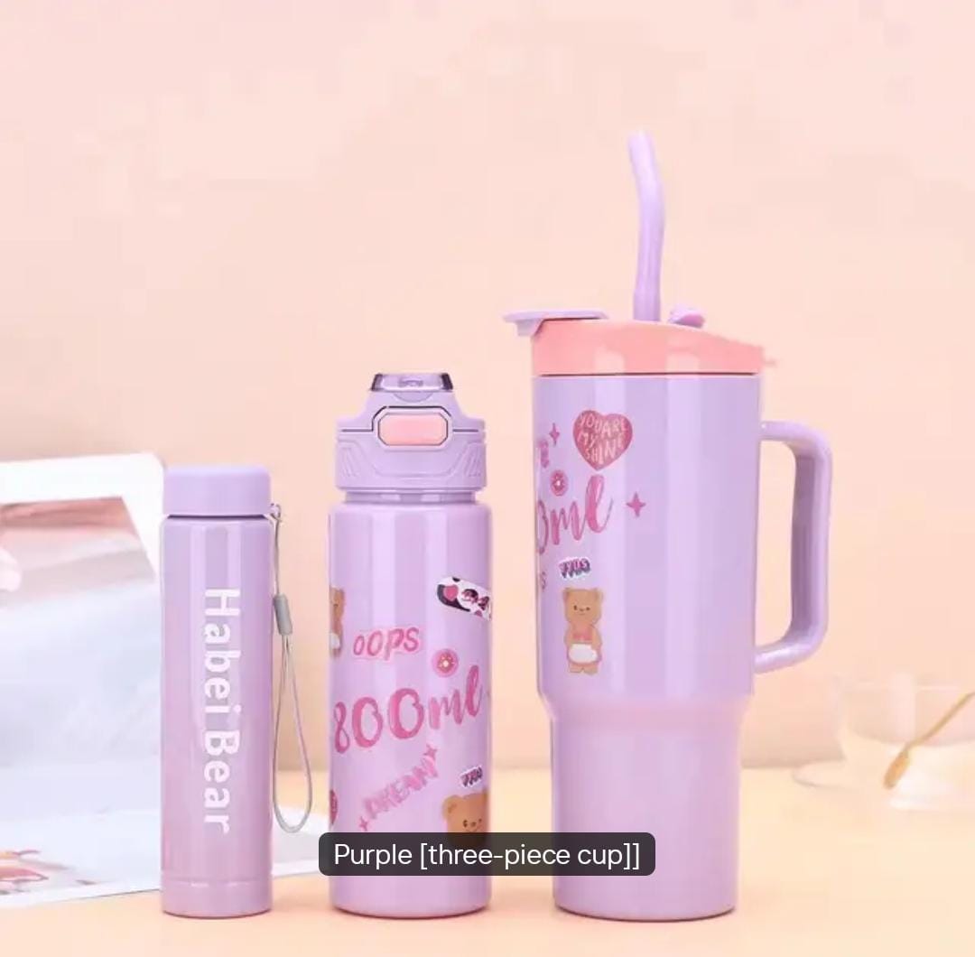 Leakproof 3 in 1 stylish water bottle set - Stanley mug design